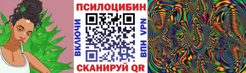 Купить закладки  Кемерово  Псилоцибиновые грибы GOLDEN TEACHER